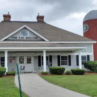 The Cat Doctor of Nashua ico