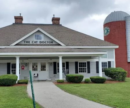 The Cat Doctor of Nashua