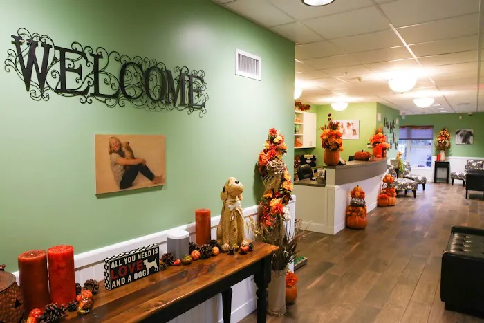 All Pets Veterinary Hospital - NH Picture 7