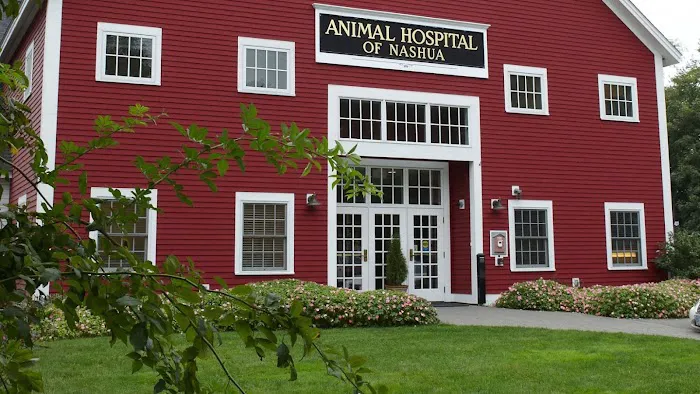 Animal Hospital of Nashua Picture 6