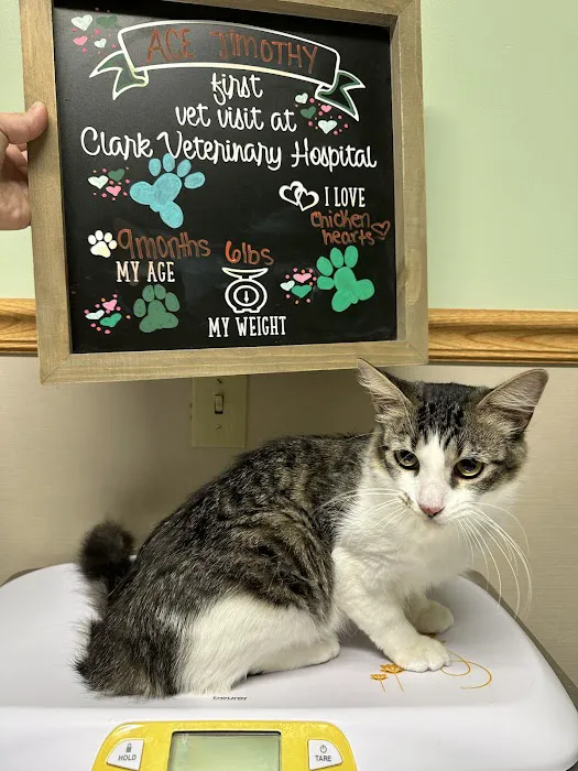 Clark Veterinary Hospital Picture 1