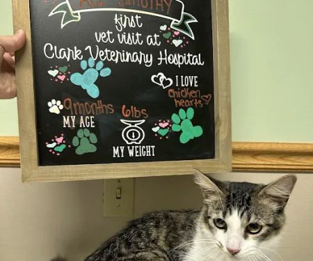 Clark Veterinary Hospital