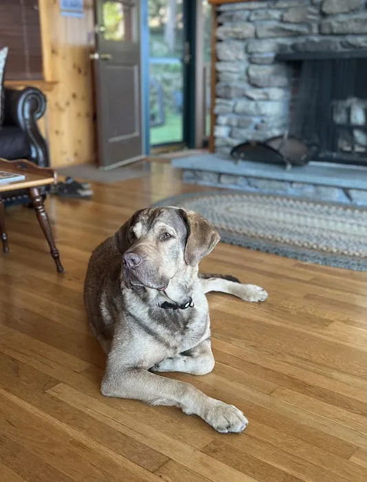 Clark Veterinary Hospital Picture 4