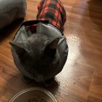 State Line Veterinary Hospital