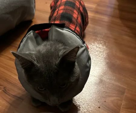 State Line Veterinary Hospital