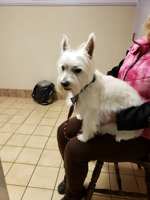 Countryside Animal Hospital Picture 6