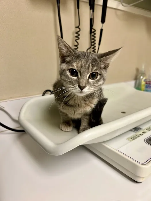 Countryside Animal Hospital Picture 10