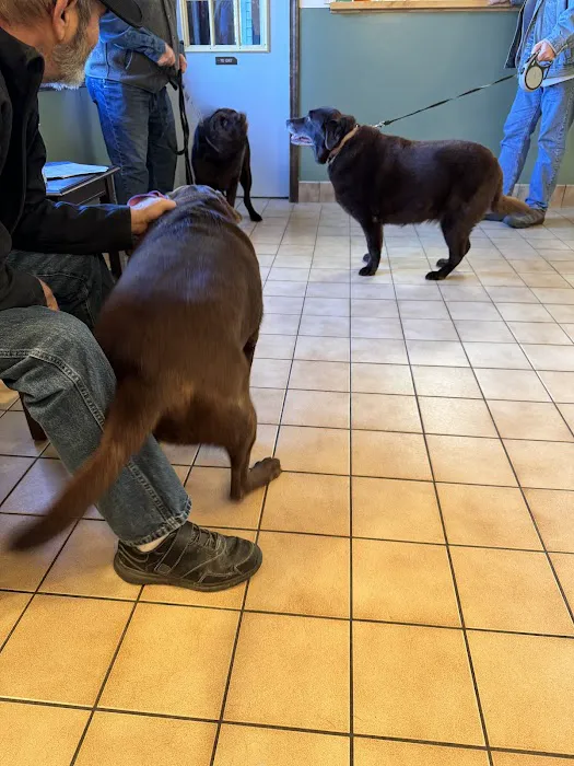 Countryside Animal Hospital Picture 9