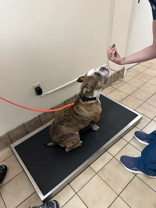 Countryside Animal Hospital Picture 8