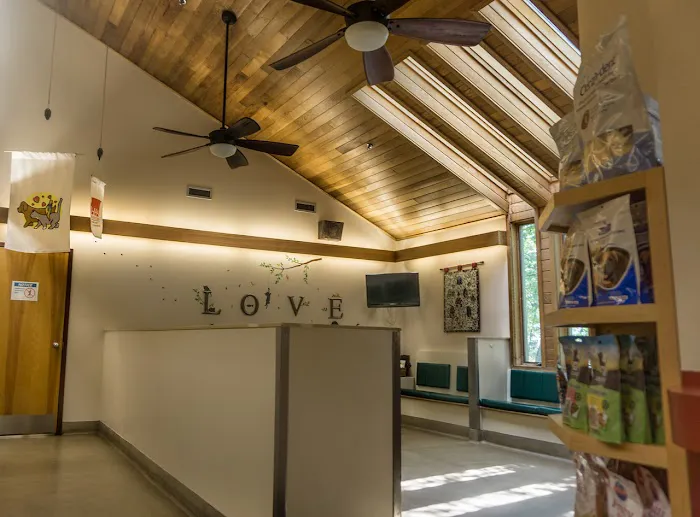Hudson Animal Hospital, A Thrive Pet Healthcare Partner Picture 5