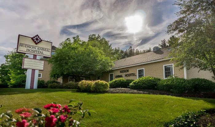 Hudson Animal Hospital, A Thrive Pet Healthcare Partner Picture 7