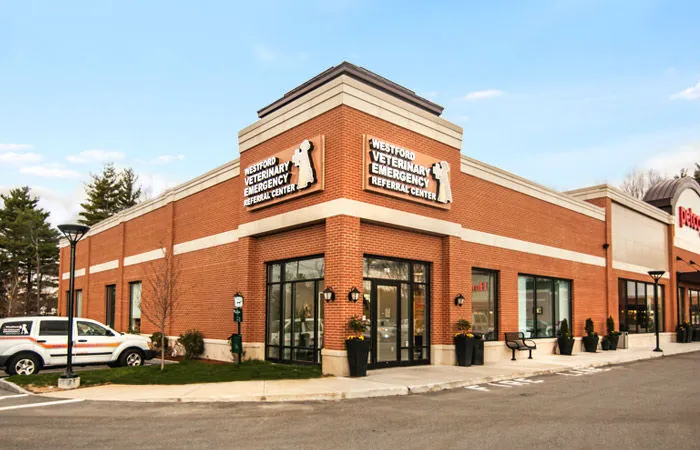 Westford Veterinary Emergency and Referral Center Picture 4
