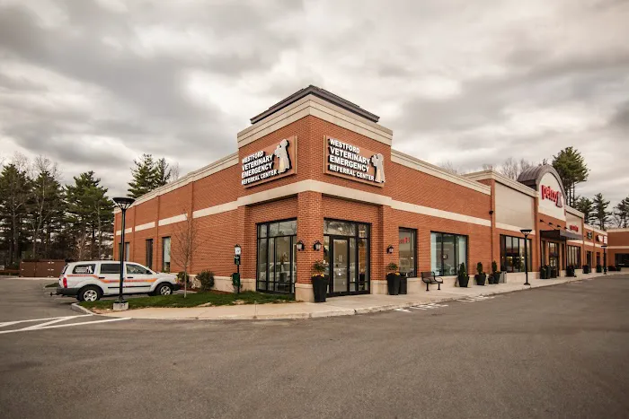 Westford Veterinary Emergency and Referral Center Picture 3
