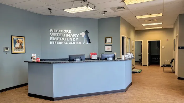 Westford Veterinary Emergency and Referral Center Picture 7