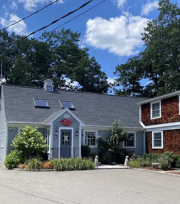 Veterinary Dermatology of New England Picture 3