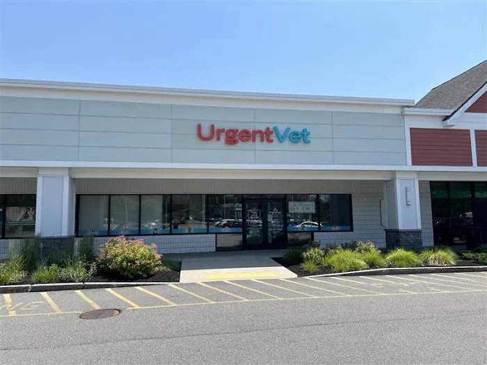 UrgentVet Picture 3