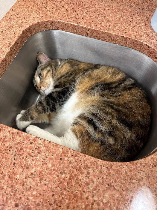 Countryside Veterinary Hospital Picture 4