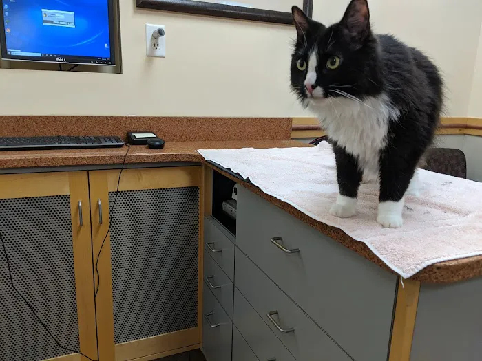 Countryside Veterinary Hospital Picture 10