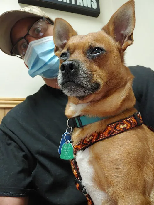 Smith Mountain Lake Animal Hospital Picture 9
