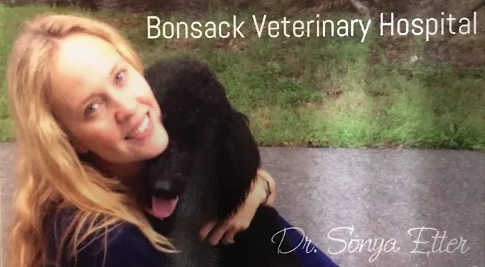 Bonsack Veterinary Hospital Picture 1