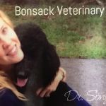 Bonsack Veterinary Hospital