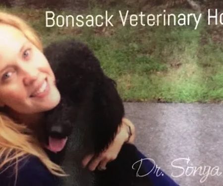 Bonsack Veterinary Hospital