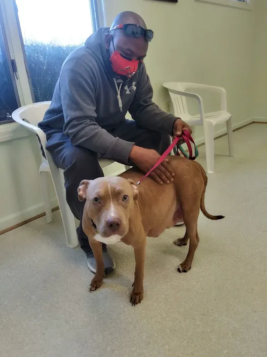 Bonsack Veterinary Hospital Picture 5