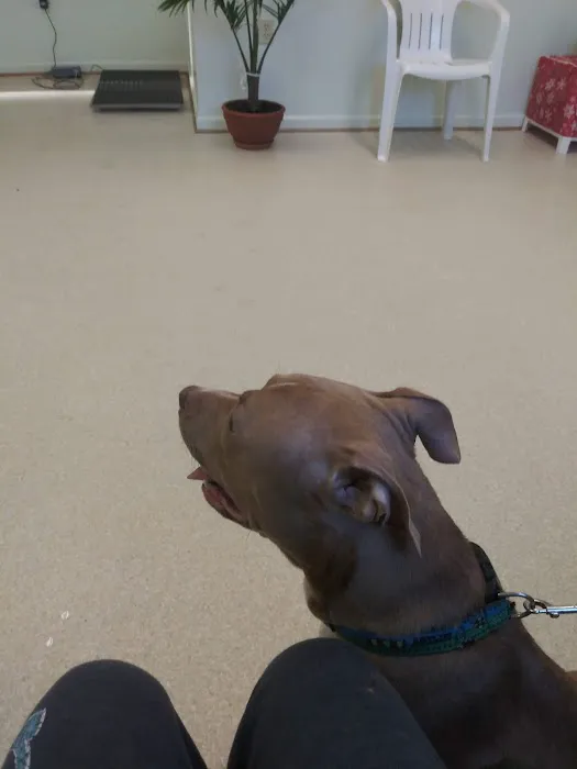 Bonsack Veterinary Hospital Picture 4