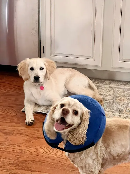 Bonsack Veterinary Hospital Picture 2