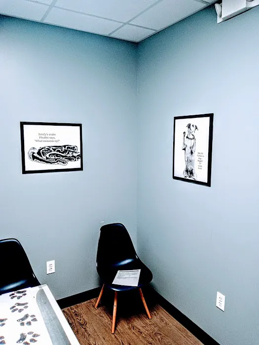 Vinton Veterinary Hospital Specialty Services Center Picture 3