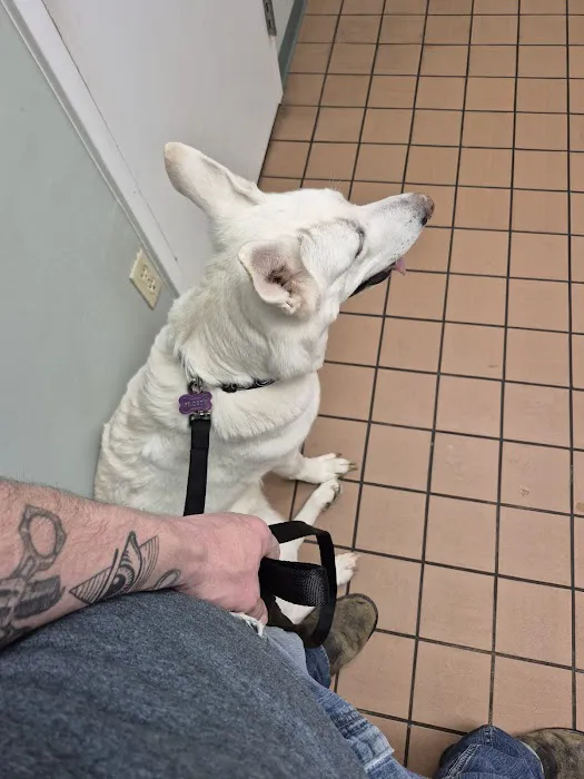 Vinton Veterinary Hospital Wellness Center Picture 3