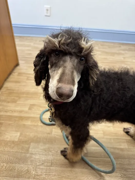 Read Mountain Animal Hospital Picture 1