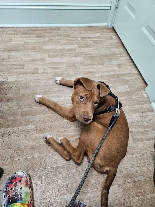 Read Mountain Animal Hospital Picture 4