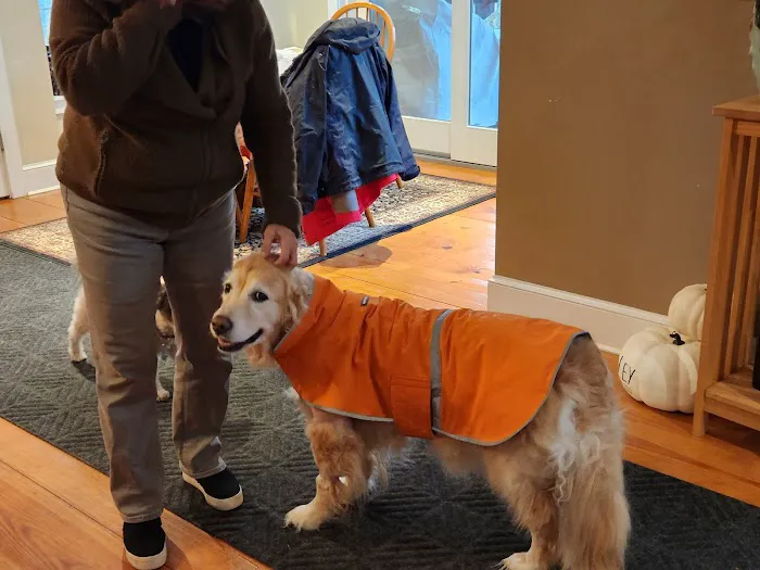 Virginia Veterinary Specialists Picture 9