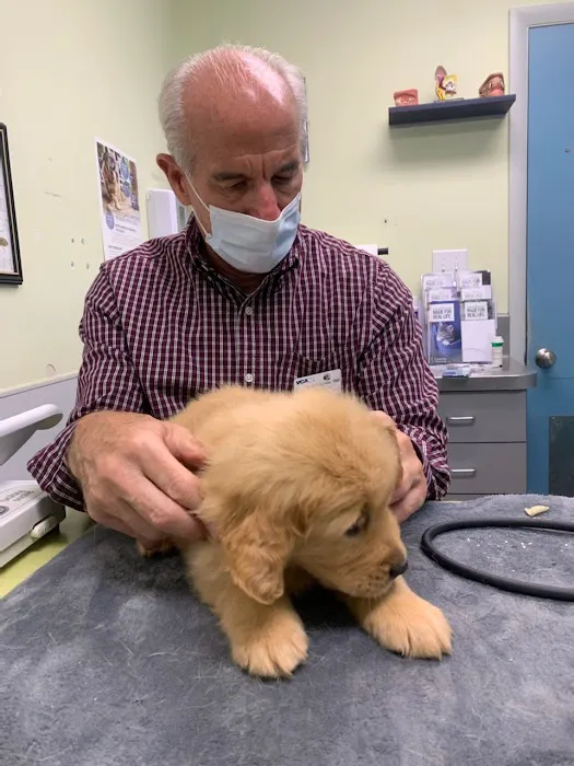 VCA Albemarle Veterinary Health Care Center Picture 1