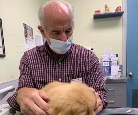VCA Albemarle Veterinary Health Care Center