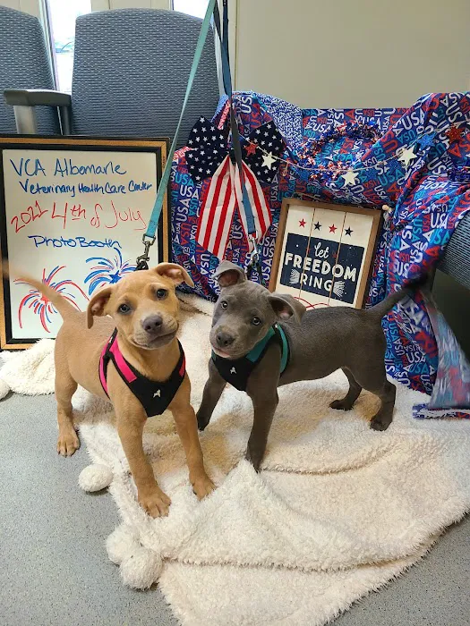 VCA Albemarle Veterinary Health Care Center Picture 3