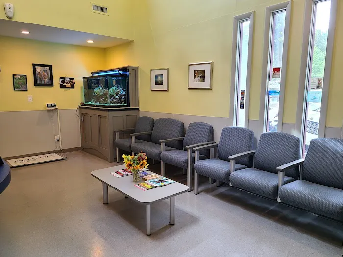 VCA Albemarle Veterinary Health Care Center Picture 5