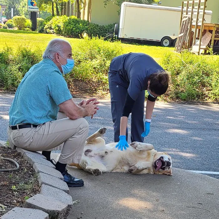 VCA Albemarle Veterinary Health Care Center Picture 8