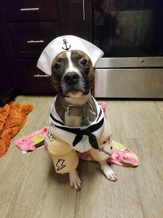 Charlottesville Veterinary Hospital Picture 1