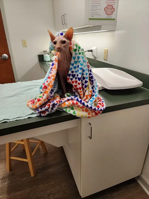 Charlottesville Veterinary Hospital Picture 10