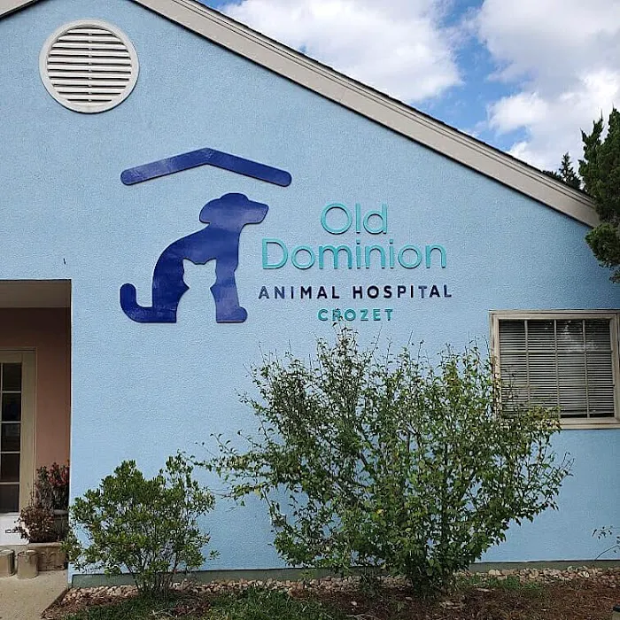 Old Dominion Animal Hospital Crozet Picture 6
