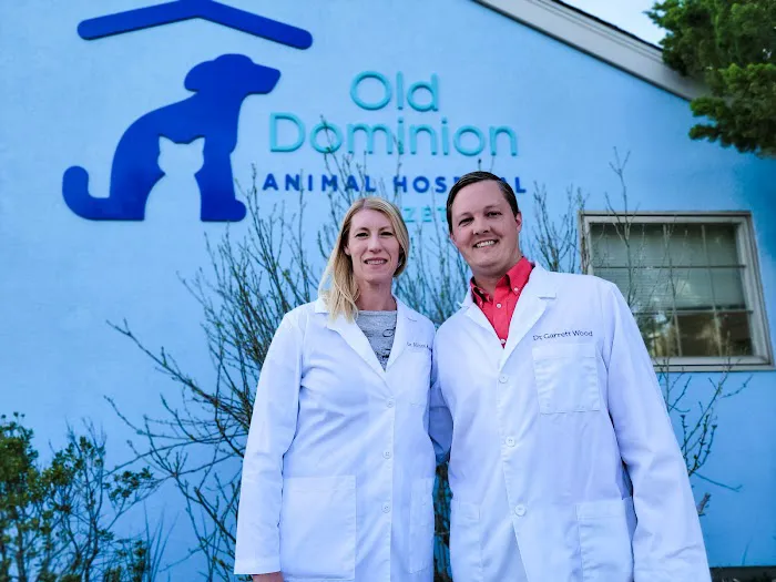 Old Dominion Animal Hospital Crozet Picture 7
