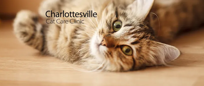 Charlottesville Cat Care Clinic Picture 9