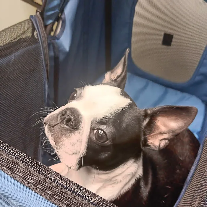 Niles Veterinary Clinic Picture 4