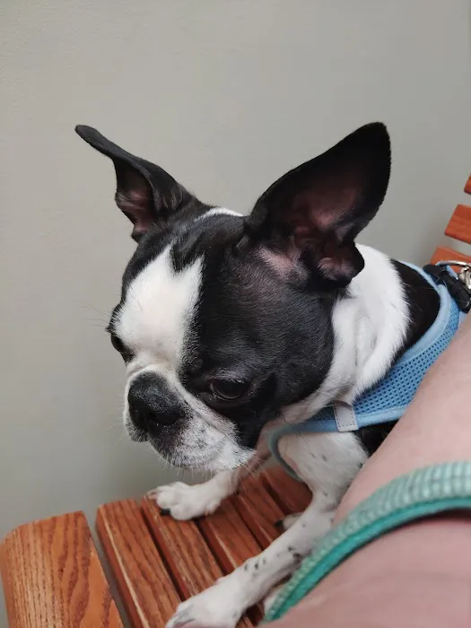 Niles Veterinary Clinic Picture 2