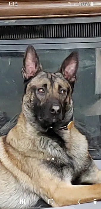 Niles Veterinary Clinic Picture 8