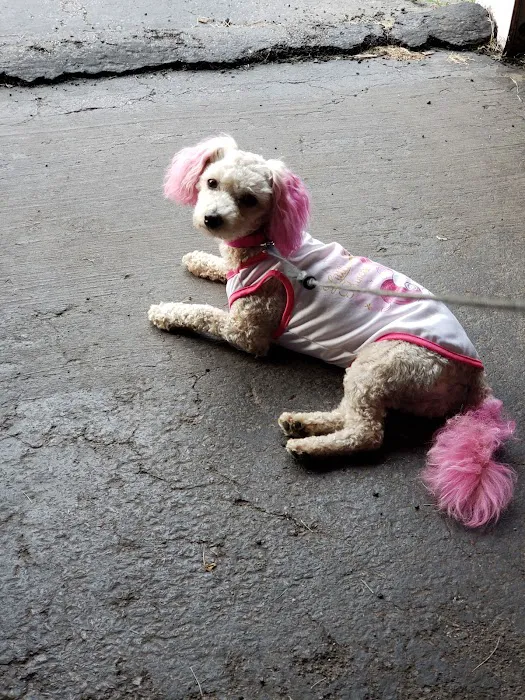 Niles Veterinary Clinic Picture 1