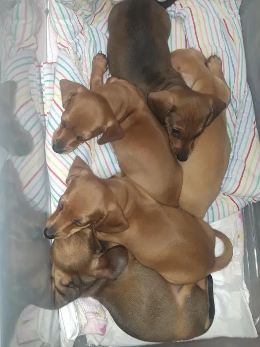 Niles Veterinary Clinic Picture 10