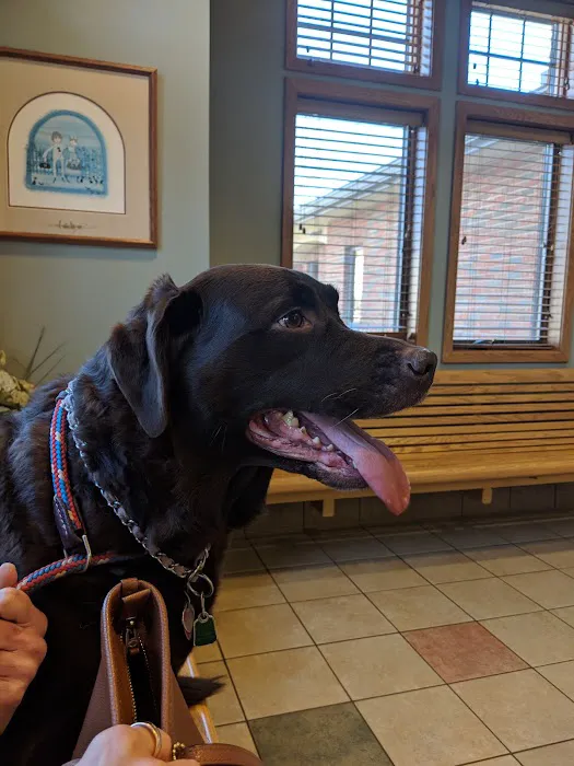 Town & Country Veterinary Hospital Picture 6